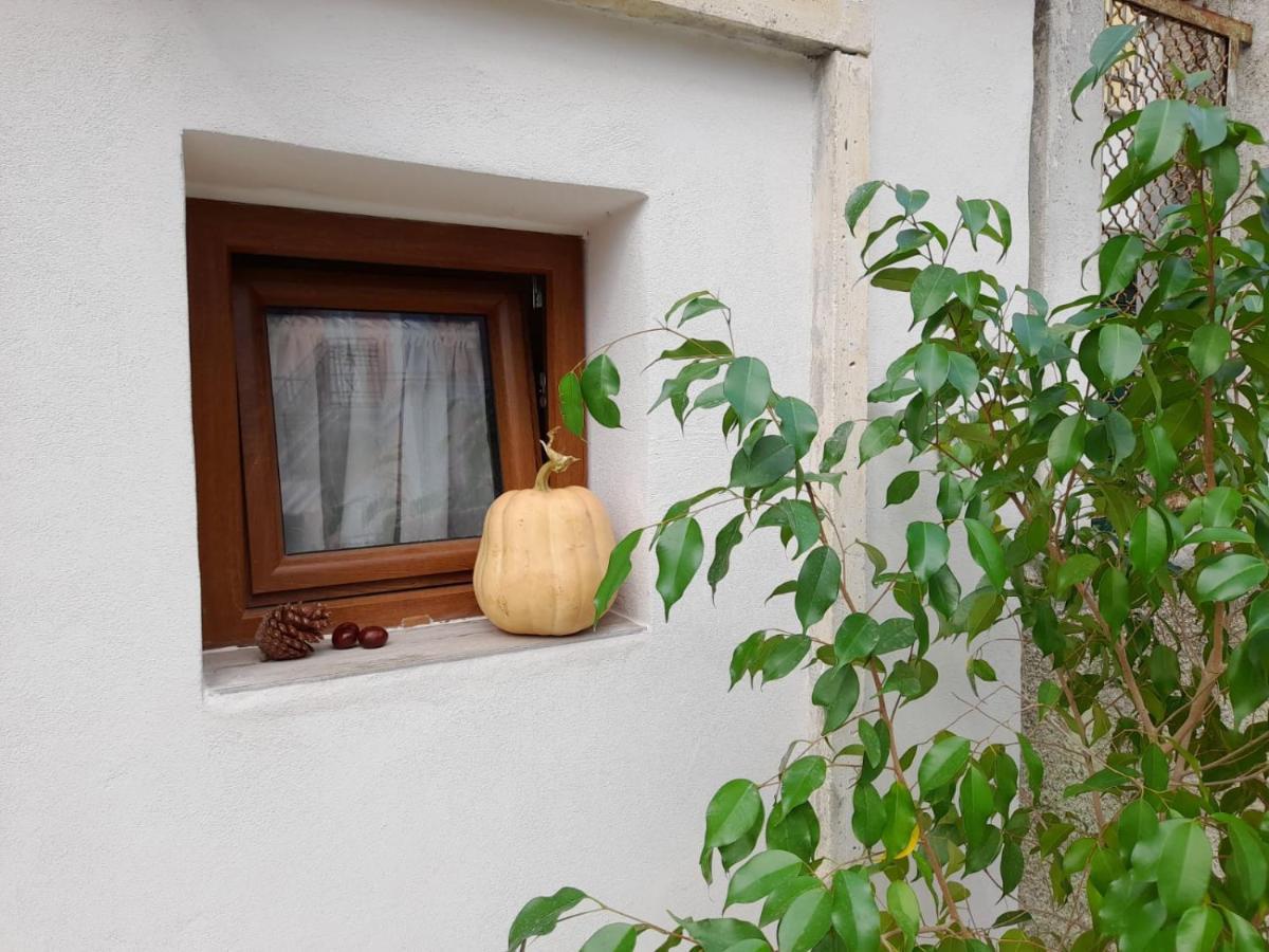 In Vino Veritas Sulmona Luaran gambar